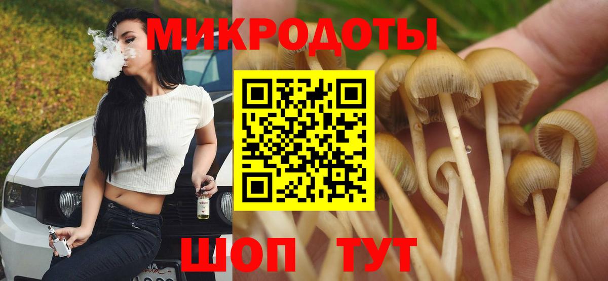 Галлюциногенные грибы мицелий  Вход с VPN  Елабуга  Псилоцибиновые грибы Psilocybe 